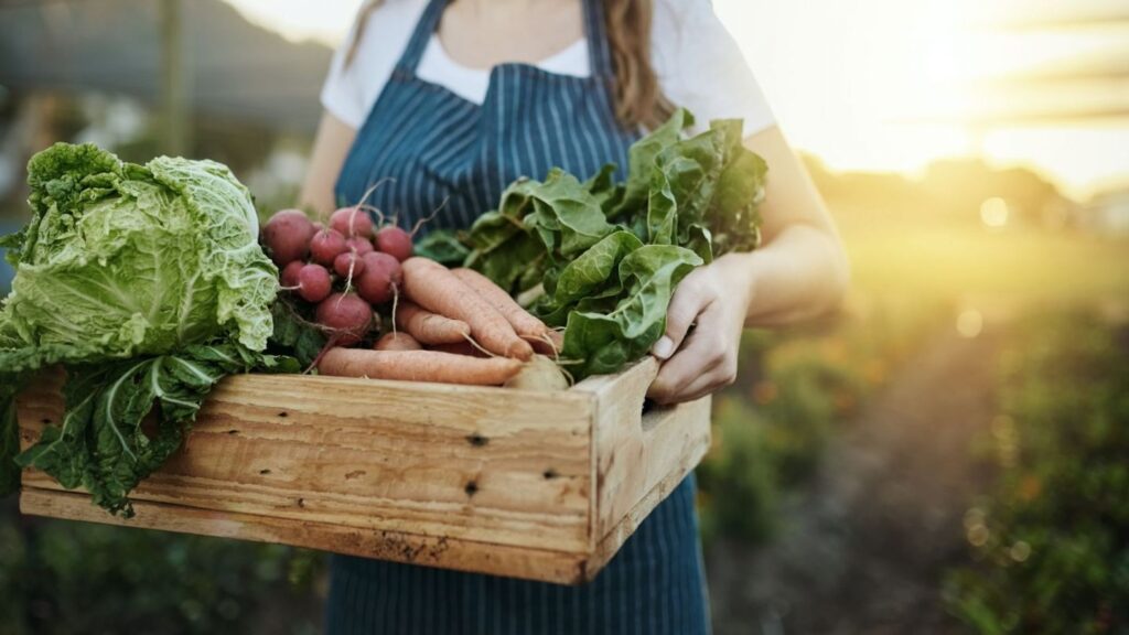 Consuming healthy foods is the healthiest way to live