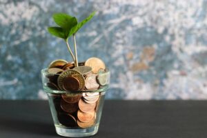 Financial Advice for Companies in 2023
